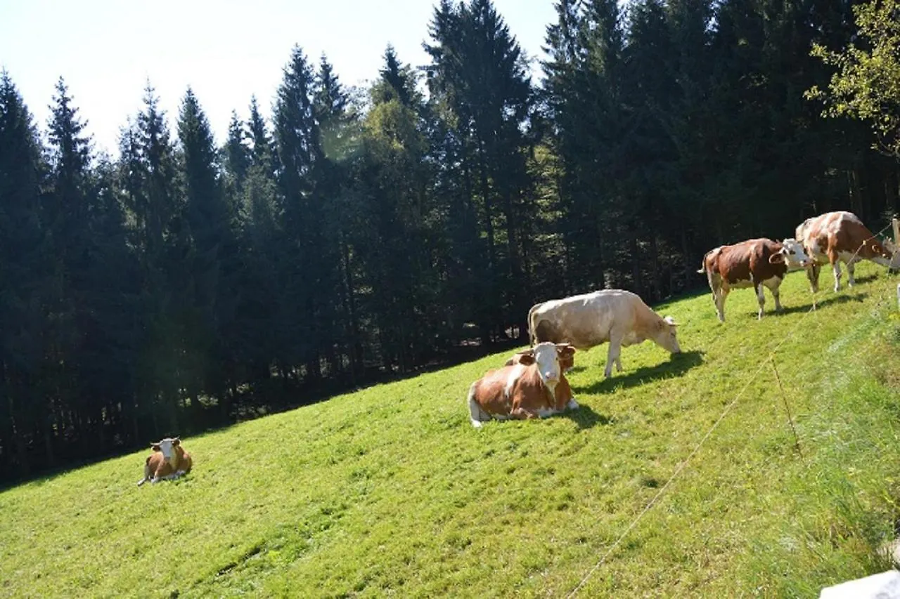 Domek alpejski Willa Holzhaus Hauzenberg Niemcy
